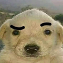 perro49