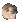 perro27