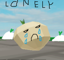 lonelyonion