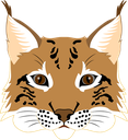 lynx