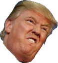 trumpangry