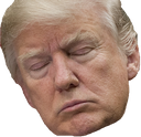 trumpsleep
