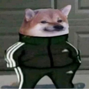 slavdoge