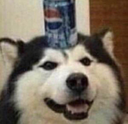 shooberdepepsi