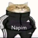 napim93