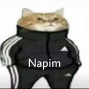 napim4