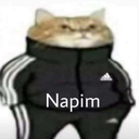 napim62