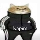 napim54
