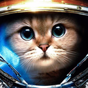 spacecat