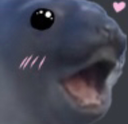 sealinlove