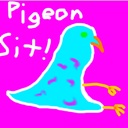 pigeon74