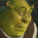 shrekoops27