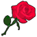 rose0