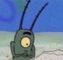 plankton41