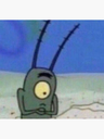 plankton17