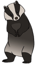 badger43