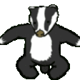 badger3