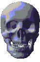 skull