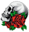 skull58