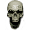skull55