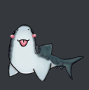 cutestshark