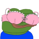 bra29