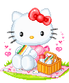 hkpicnic45