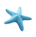 starfish47