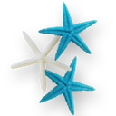 a2starfish
