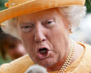 donaldqueen