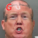 gangsterdonaldtr