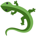 lizard31