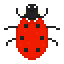 ladybug