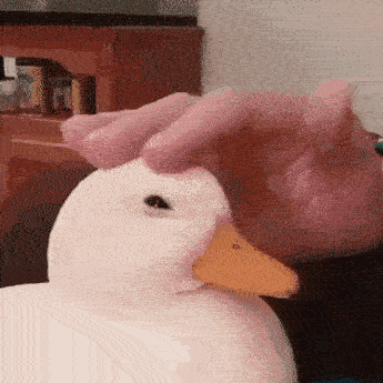 duckpet