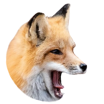 foxpog