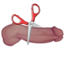 sansfwdick