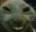 xdxdxd95