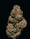 weedbud