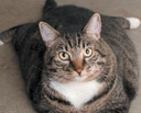 loaf76