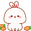 cgbunnycarrotscu