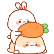 xcarrot