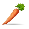 carrot3