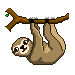 sloth