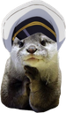 rinneotter