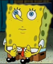 spongepsycho