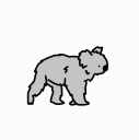 koala51