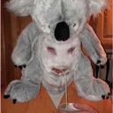 koalasip44