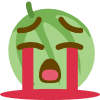 meloncry5