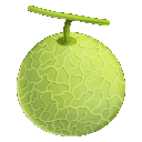melon52