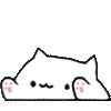 pkcutebongocat86
